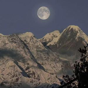 国产极品一区二区美女人体羞羞漫画
